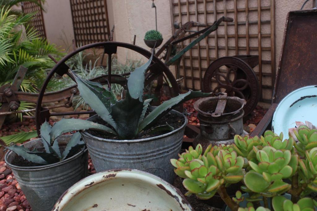 Aber Jetz Guesthouse Pongola Bagian luar foto